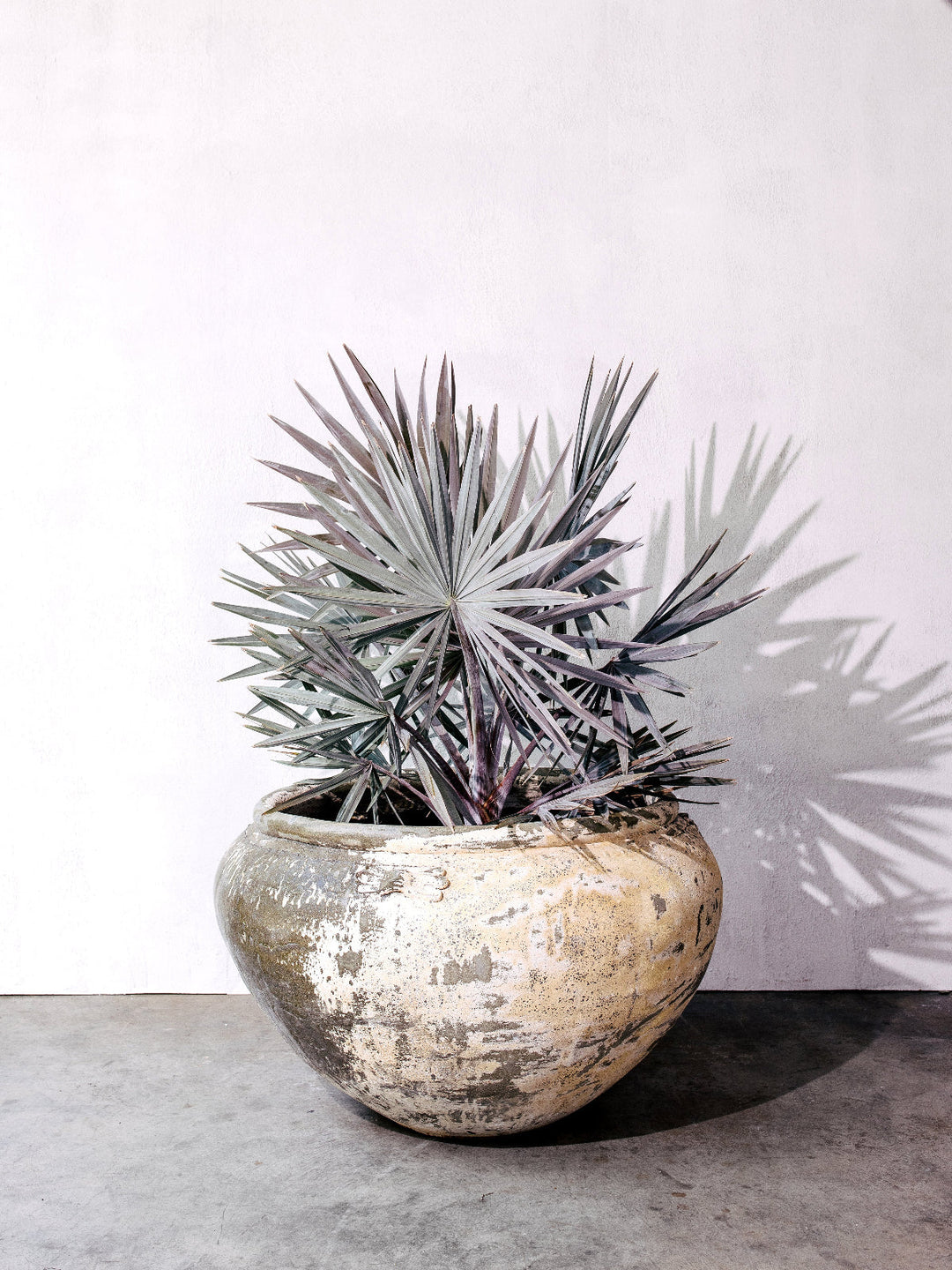 Outdoor Pots and Planters Luxury 