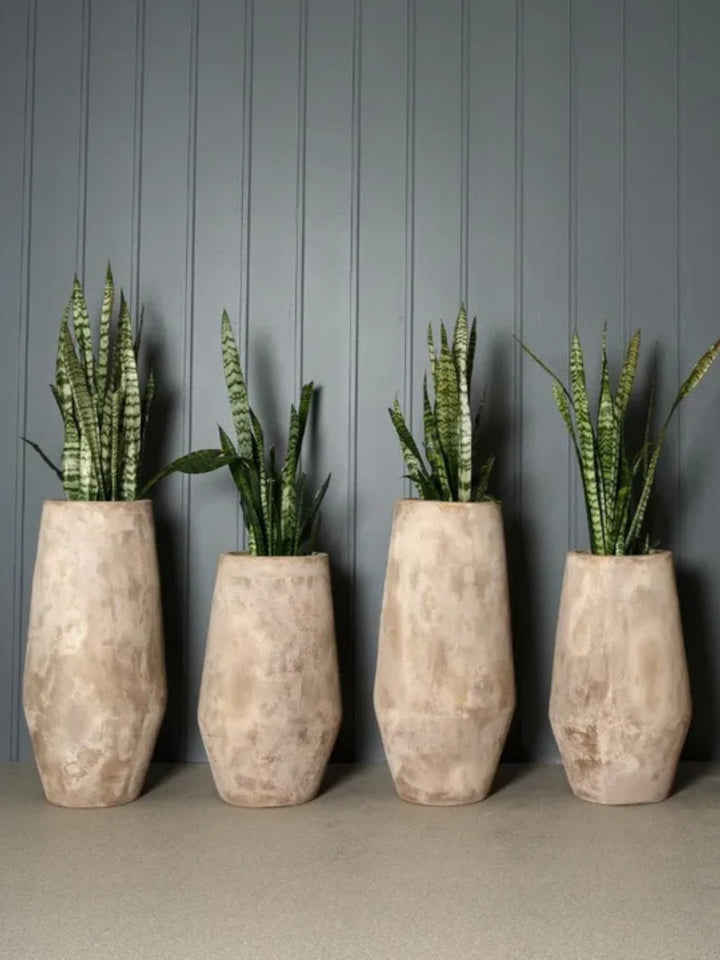 Outdoor Pot - Lanky Panky