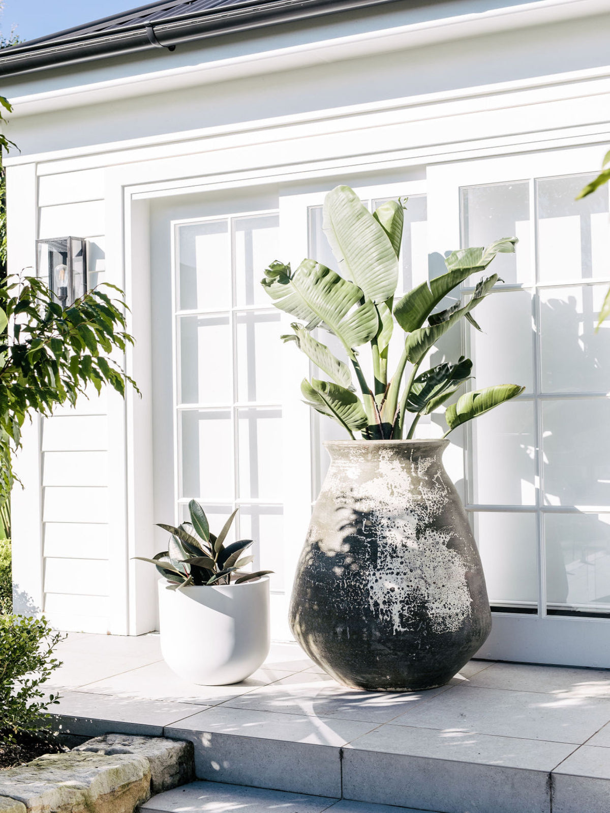 outdoor-pot-planter-balcony-garden-bacardi-trove-collective-3