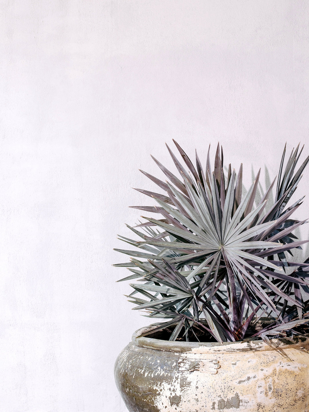 outdoor-pot-planter-luxury-premium-stone-pot-balcony-garden