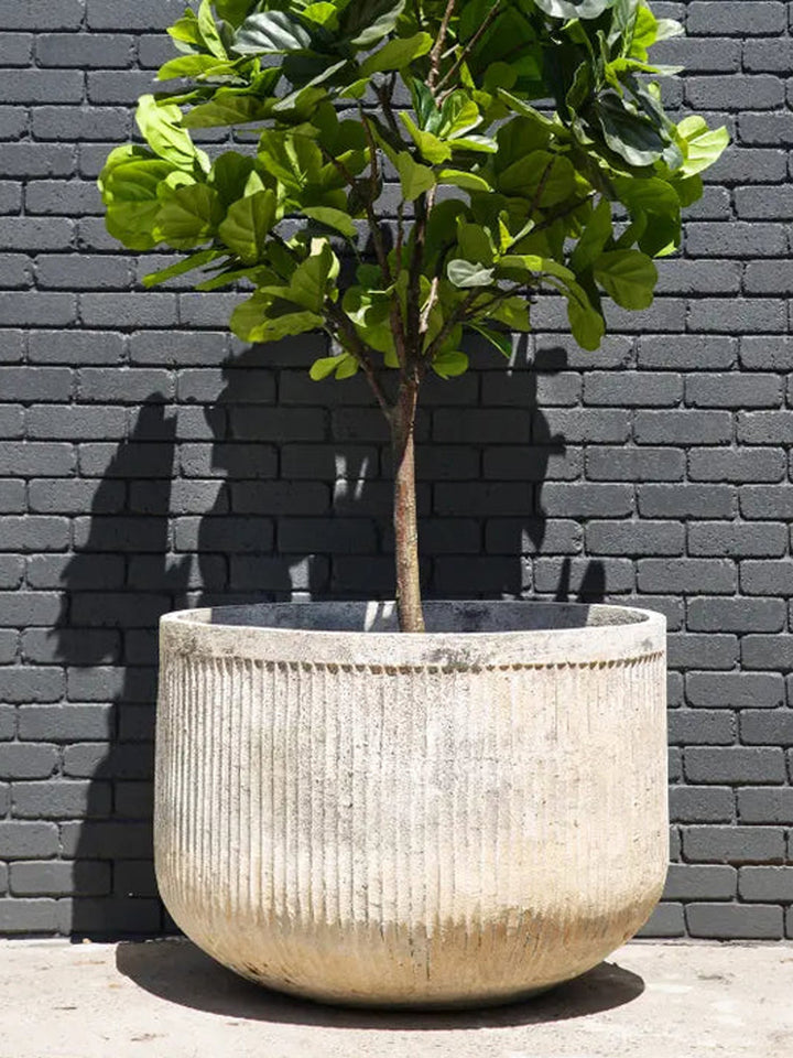 outdoor-pot-planter-balcony-garden-chardonnay-trove-collective-3