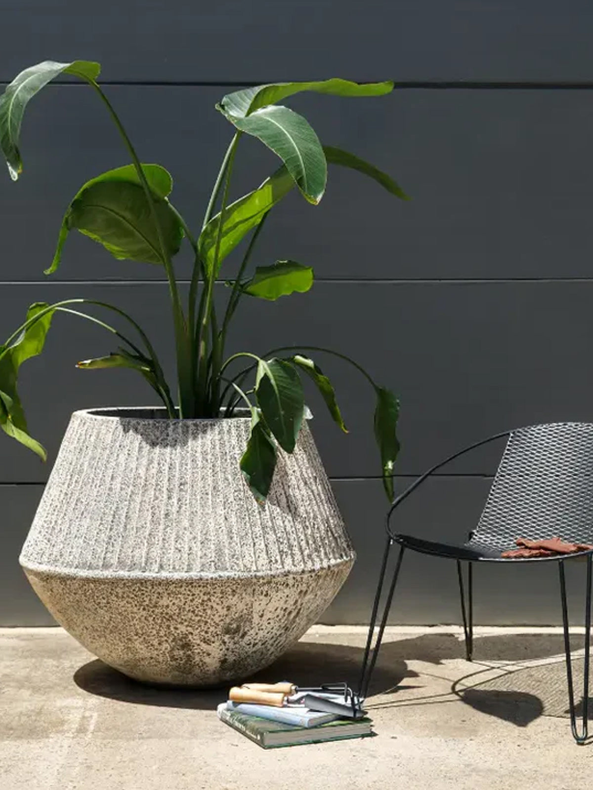 outdoor-pot-planter-balcony-garden-karen-trove-collective