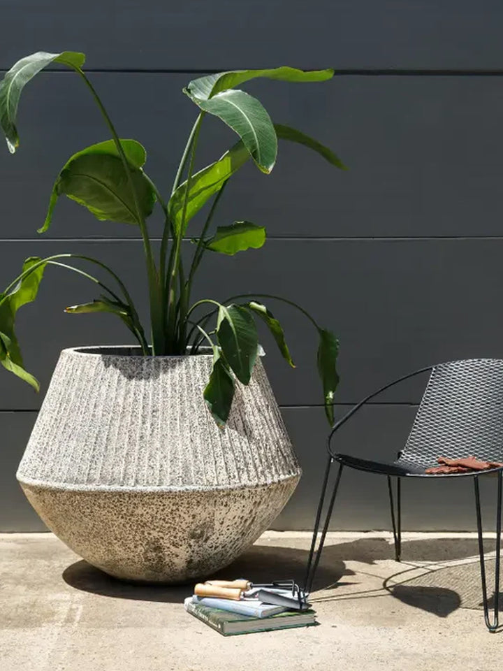 outdoor-pot-planter-balcony-garden-karen-trove-collective