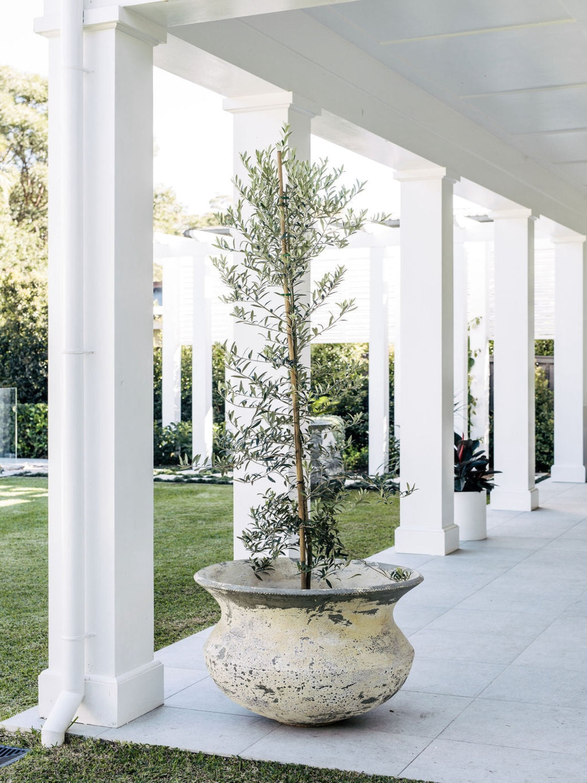 outdoor-pot-planter-balcony-garden-labronce-trove-collective-2