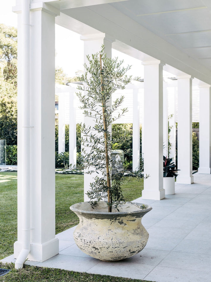 outdoor-pot-planter-balcony-garden-labronce-trove-collective-2