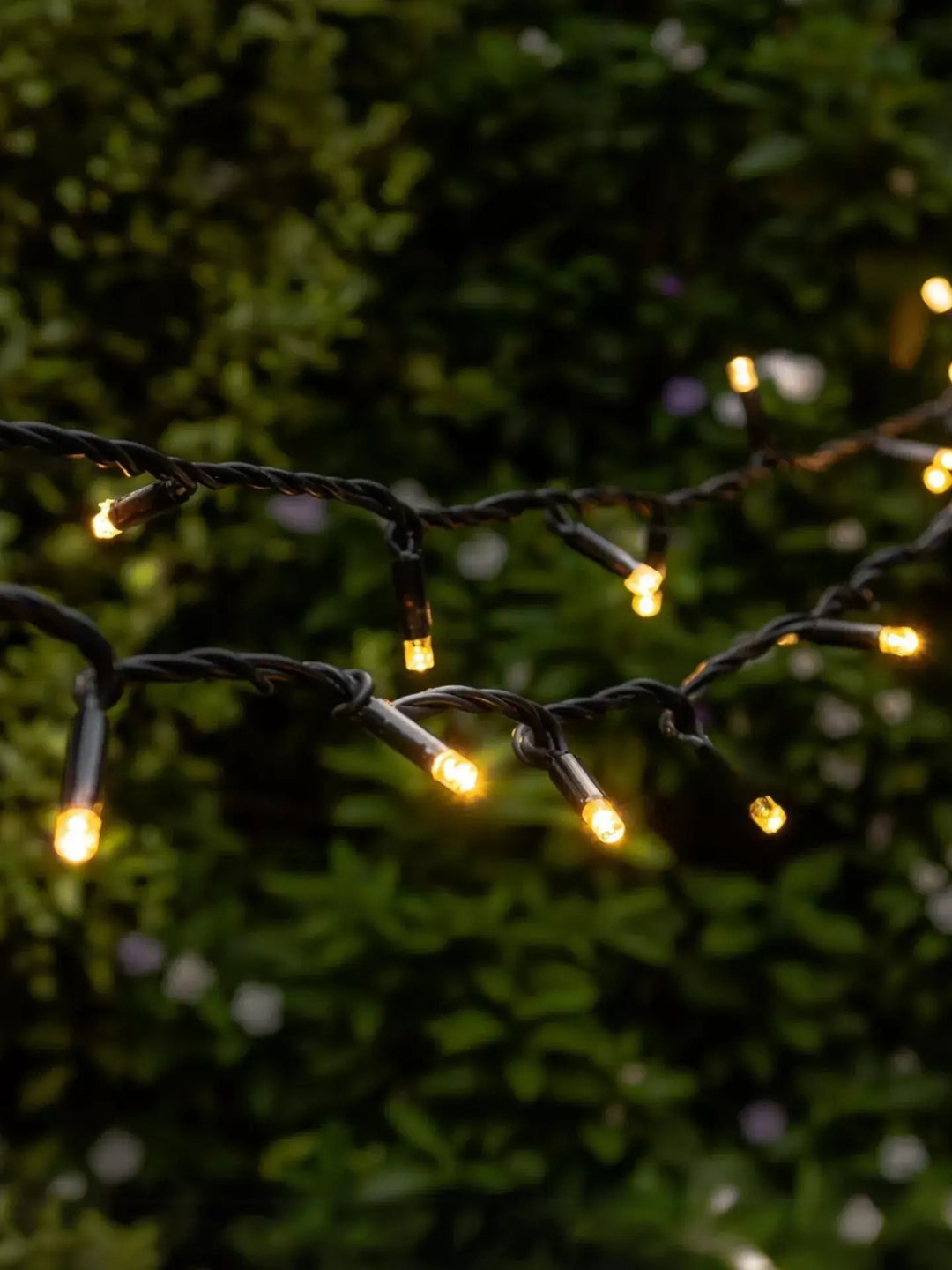 Outdoor Fairy Lights - Black