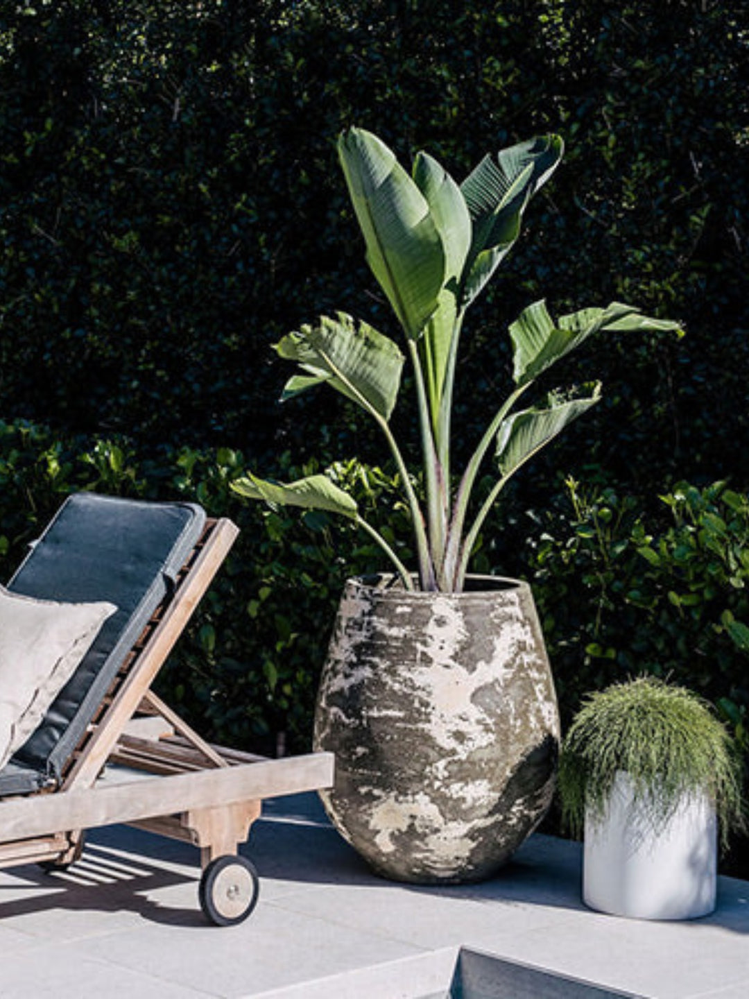 Outdoor Pot - Anfernee