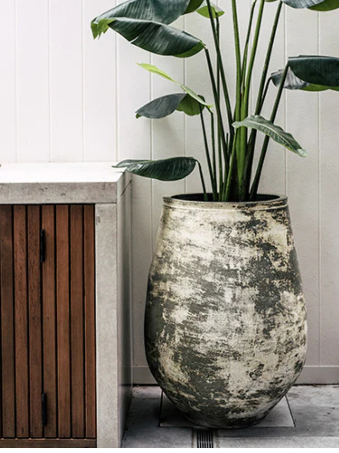 Outdoor Pot - Anfernee