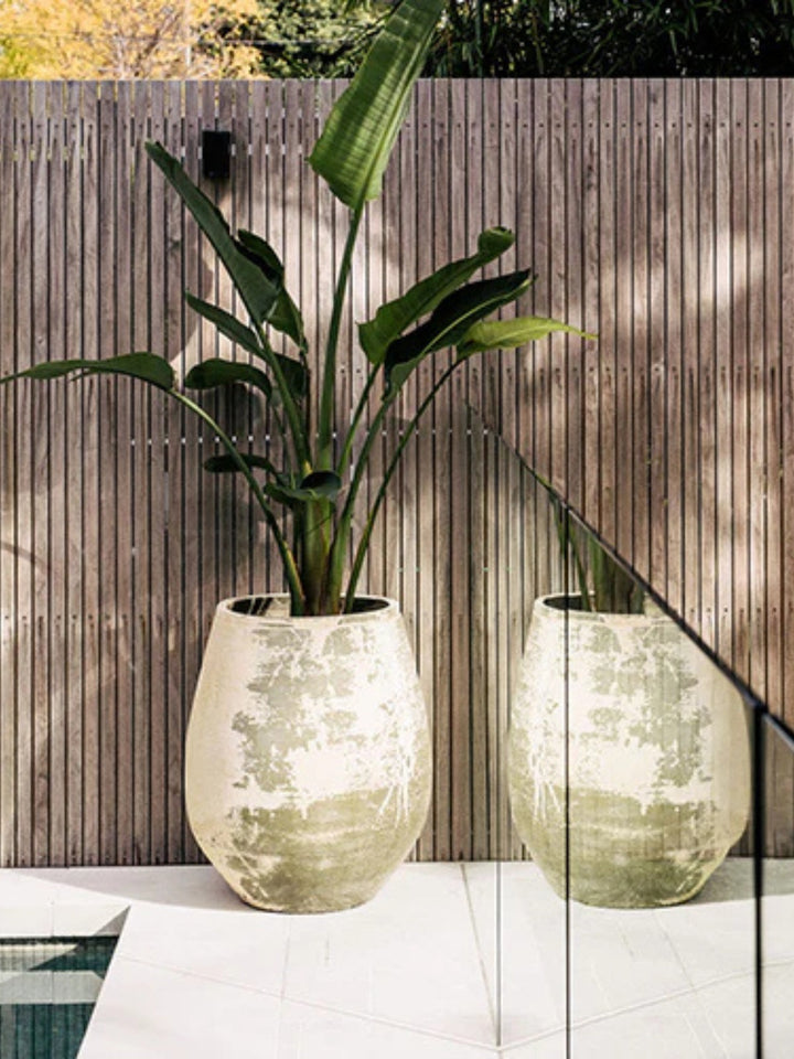 Outdoor Pot - Anfernee