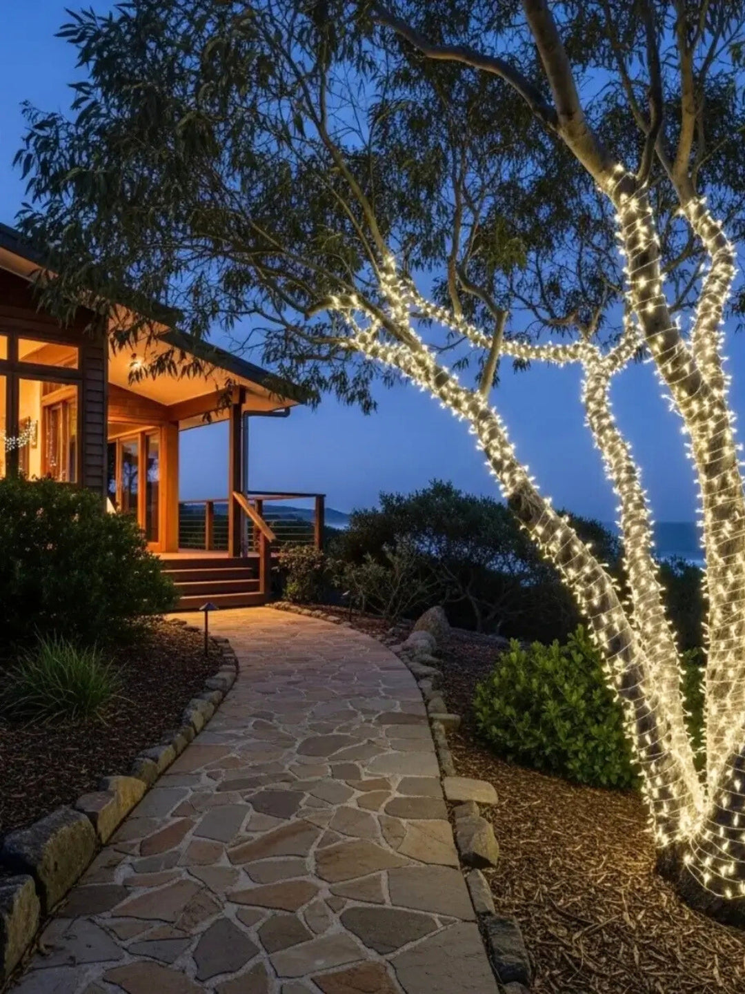 Outdoor Fairy Tree Lights